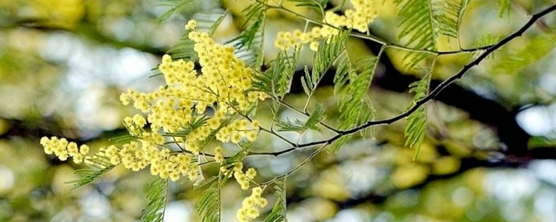 骑马踏青赏美景 《源火》春游最佳拉风坐骑闪亮登场