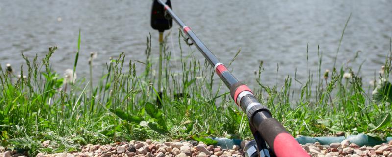 夏天钓鱼用几米的竿最好用什么鱼饵最好(夏天钓鱼用几米的竿最好用什么鱼饵最好呢)