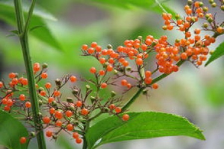 逝世神：从流魂街末尾无敌的摸鱼佬