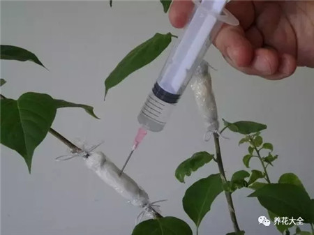 用注射器往纸巾注水