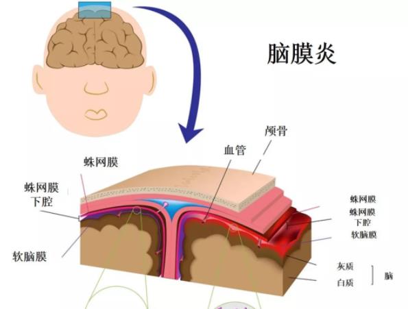 《快乐无双》封测在即 公会活动忙不停