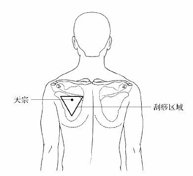 种子片子甚么时分上映