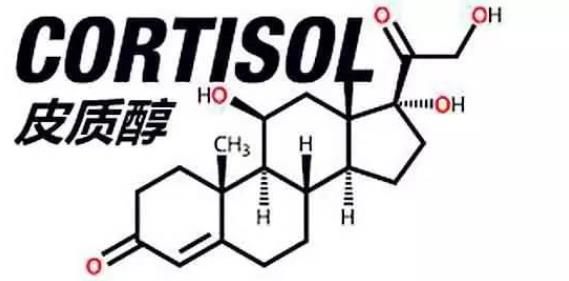 做皮质醇检测需要空腹吗 皮质醇检测前需要做什么准备