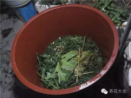 首富身份曝光，惊呆丈母娘最新章节