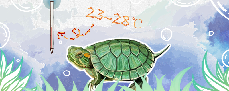 巴西龟水温多少度最合适，需要加热棒吗