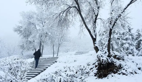 2024年元旦去南京能看到雪吗 什么时候南京可以看到雪