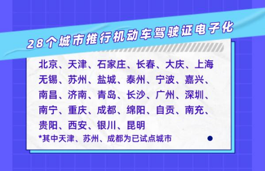 电子驾驶证可以看到副本副页吗2