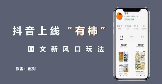 斑马鱼能和金鱼一起养吗，能和什么鱼混养