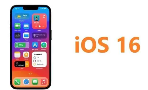 ios16抠图可以放到哪里3