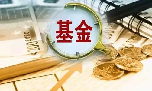 《迷您忠细队之汉堡大年夜大年夜做战》片子残破版