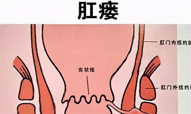 百科