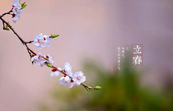 锦鲤排泄物太多如何处理，怎么减少鱼屎