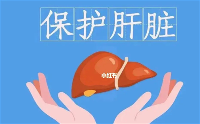 什么食物护肝脏 想护肝什么食物最好