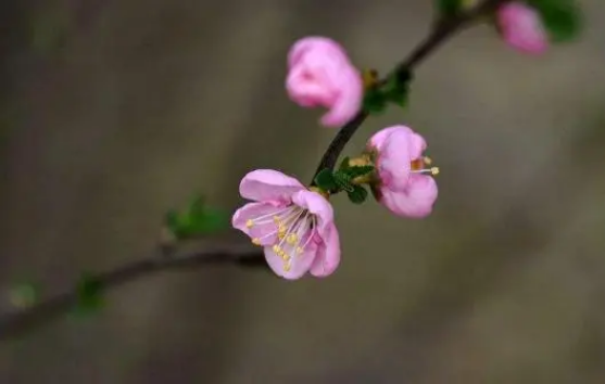 《是您[深邃话版]》电视剧