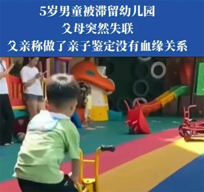 乌白马角网