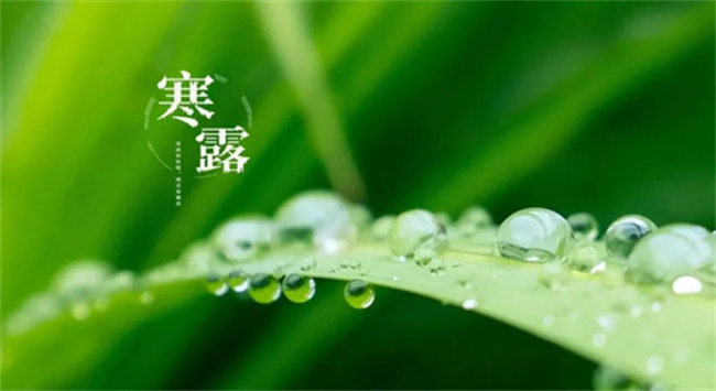 ​寒露节气的特点和风俗 寒露有什么气象变化