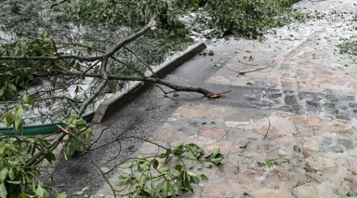 ​冻雨路面会结冰吗 冻雨路面如何安全驾驶