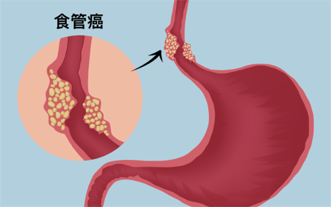 资深玩家共享道战战斗区别组合的技能