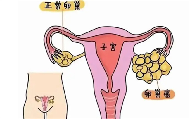 刮胡子怎么刮最好 刮胡子的正确步骤有哪些