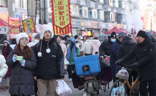 ​严寒东北的打开方式有哪些