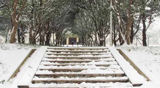 武汉2024年春节过后会下雪吗 武汉每年大概什么时候下雪