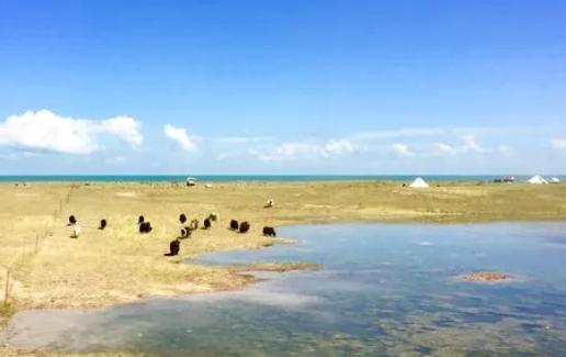 《起舞吧齐舞第1季》最新一期,选散残破版下浑正在线没有雅不雅旁没有雅不雅