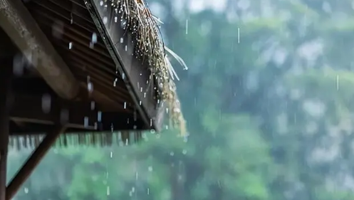 2024年武汉什么时候进入梅雨季 武汉梅雨季节什么时间过完