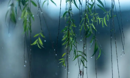 上海2024年什么时候出梅 上海的梅雨季节是几月到几月