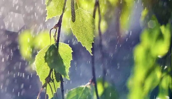 2024年上海梅雨季节是份上份几月份2