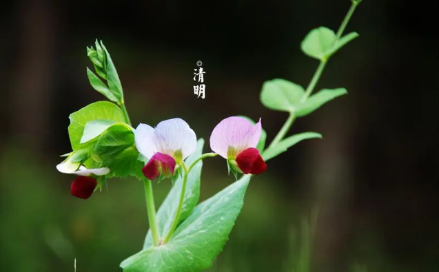 小团队死或生？领平台救济 还是破而后立