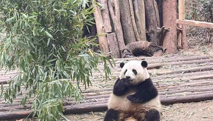 成都旅游必去十大景点推荐 四川成都最值得去的十大景点