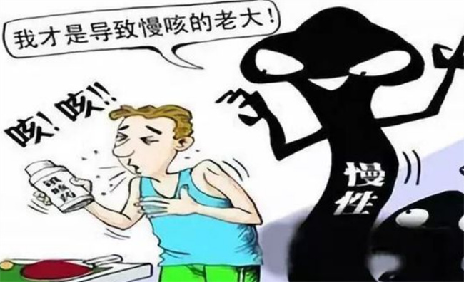 乌白马角网