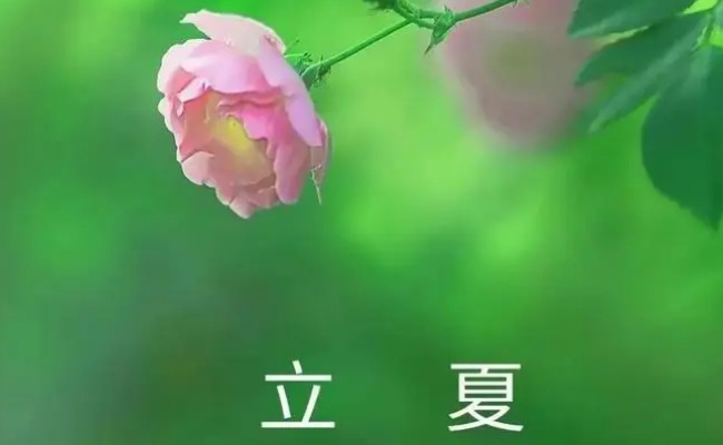 为何说立夏养生重在养心